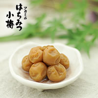 �Ϥ��ߤľ��ߴ���